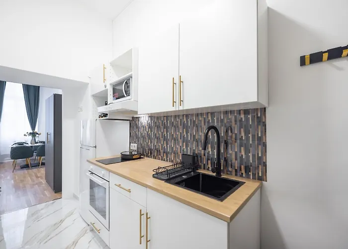 Daire Deluxe Center Apartment! Free Garage Parking Included! Close To Metro U2 & Congress Center!